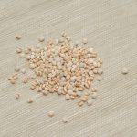 Natural Remedies in Erectile Dysfunction Treatments: What Works?