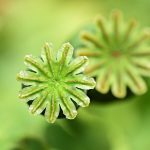 The Latest Innovations in Erectile Dysfunction Treatments: A Closer Look