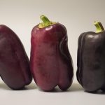 Pros and Cons of Popular Erectile Dysfunction Treatments
