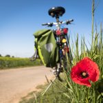 Natural Remedies for ED Treatments: What Works?