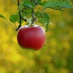 Understanding Peyronie's Disease and Its Relation to Erectile Dysfunction