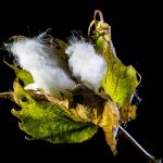 Common Myths About ED Treatments Debunked