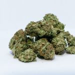 Myths and Facts About ED Treatment You Should Know