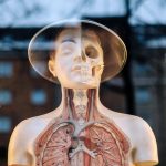 Future Trends in Erectile Dysfunction Treatments: What to Expect