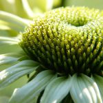 The Psychological Impact of ED Treatments in Modern Medicine