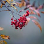 The Benefits of Seeking Professional Help for ED Treatment