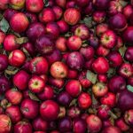 Natural Remedies: Exploring Alternative ED Treatments