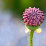 How Lifestyle Changes Impact ED Treatment Success