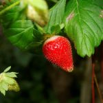 Effective Strategies for Erectile Dysfunction Treatment