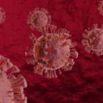 Exploring the Impact of Lifestyle Changes on Erectile Health