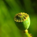Understanding Erectile Dysfunction Treatments: What You Need to Know