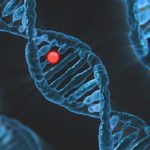 Erectile Dysfunction Treatment Myths Debunked: Separating Fact from Fiction