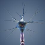 The Role of Exercise in Combating Erectile Dysfunction