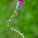 A Comprehensive Guide to Popular Erectile Dysfunction Treatments