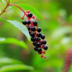 Erectile Dysfunction Treatment and Its Impact on Relationships