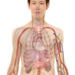 The Connection Between Lifestyle Changes and Erectile Dysfunction Treatments