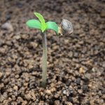 A Comprehensive Guide to ED Treatment Techniques