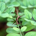 A Comprehensive Guide to ED Treatments: Options and Efficacy