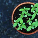 A Comprehensive Guide to Erectile Dysfunction: Causes and Solutions