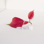 boosting your confidence: the benefits of viagra online