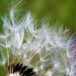 Patient Experiences: Real Stories with ED Treatment Outcomes
