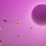 Buy Viagra: Demystifying the Myths and Facts