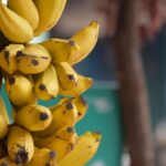 Innovative Treatments on the Horizon for Erectile Dysfunction
