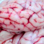 A Comprehensive Guide to ED Treatments: Finding the Right Solution for You