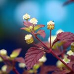 The Impact of Lifestyle Changes on Erectile Dysfunction Treatment Effectiveness